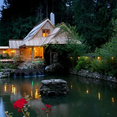 Dağ evi Domki Sywor *