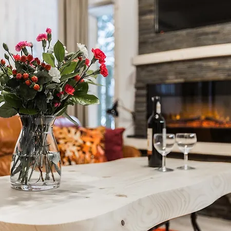 Dağ evi Domki Sywor *